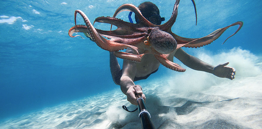 Quelle est la meilleure fixation pour ma GoPro en plongée sous-marine ?