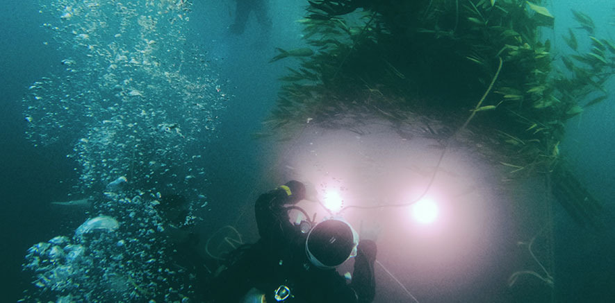 Ai-je besoin d’un éclairage pour prendre des photos sous-marines avec ma GoPro ?